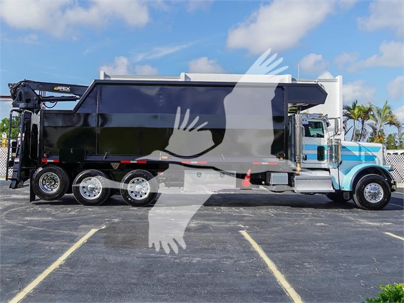 2020 389 PETERBILT - image 3 of 6